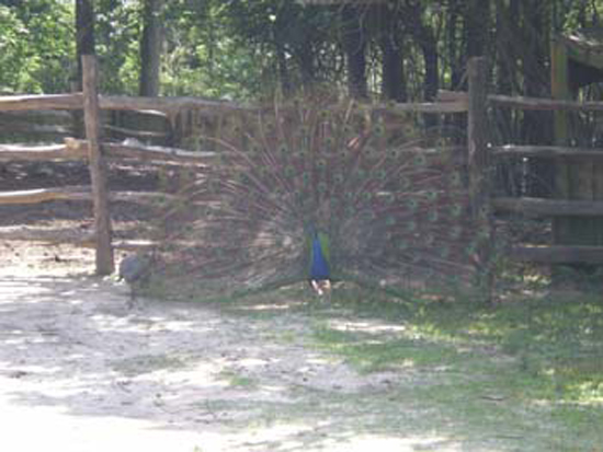 DSCN0900