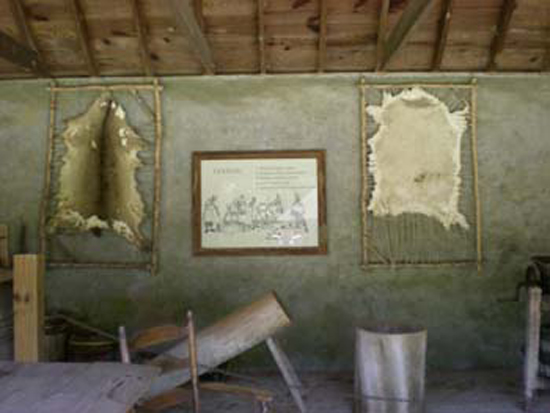 DSCN0964