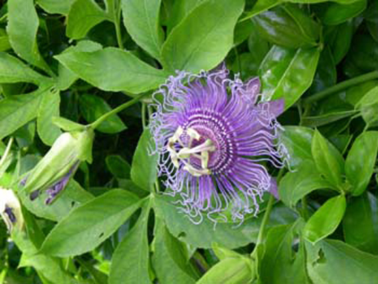 DSCN1171