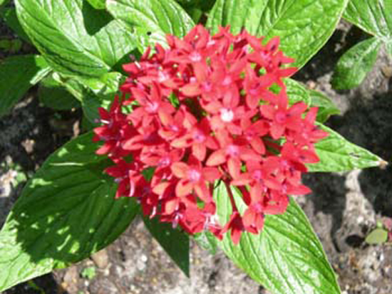 DSCN1174