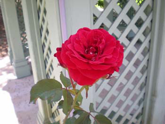DSCN1185