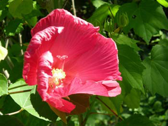 DSCN1195