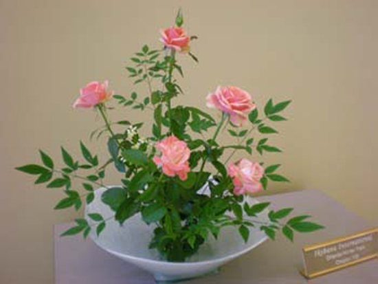 DSCN1215
