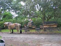 DSCN0886