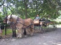 DSCN0890