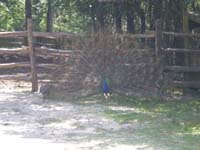 DSCN0900