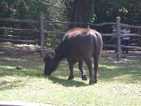 DSCN0907