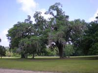 DSCN0916