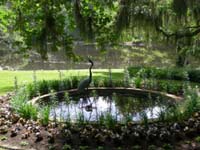 DSCN0934