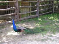 DSCN0938