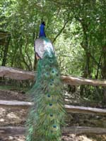 DSCN0939