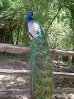 DSCN0940
