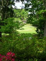 DSCN0948