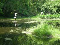 DSCN0949