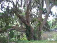 DSCN0951