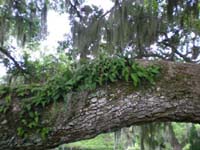 DSCN0953
