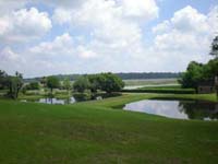 DSCN0954