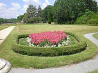 DSCN0956