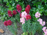 DSCN1034