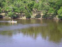 DSCN1101
