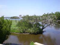 DSCN1117