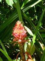 DSCN1167