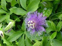 DSCN1171