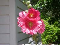 DSCN1176