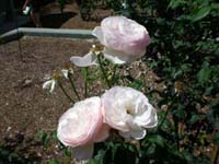 DSCN1184