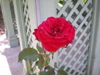 DSCN1185