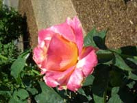 DSCN1187