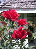 DSCN1188