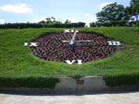DSCN1190
