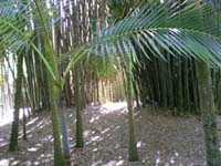 DSCN1192