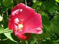DSCN1195