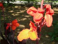 DSCN1198