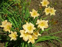 DSCN1199