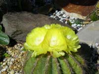 DSCN1203