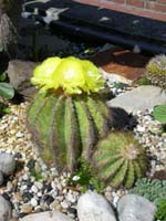 DSCN1204