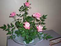 DSCN1214