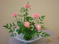 DSCN1215