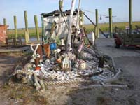 DSCN1254