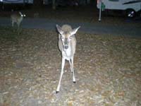 DSCN1258