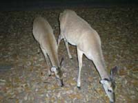 DSCN1260