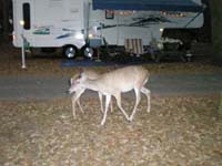 DSCN1268