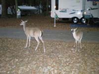 DSCN1269