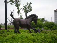 DSCN1327