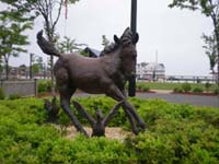 DSCN1329