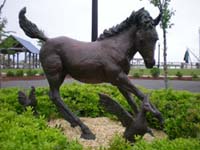DSCN1330